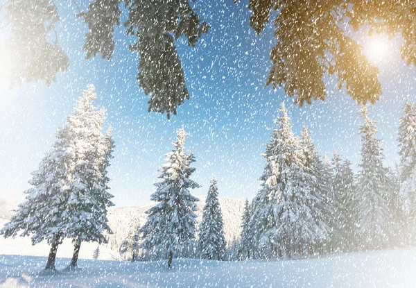 Incredibile paesaggio invernale — Foto Stock