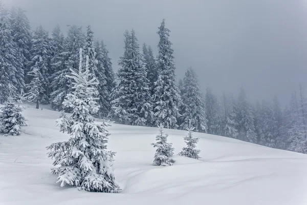 Paisagem invernal dramática — Fotografia de Stock