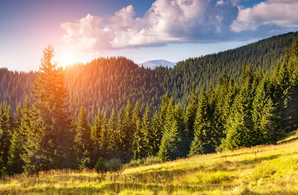 Lindas montanhas Paisagem — Fotografia de Stock