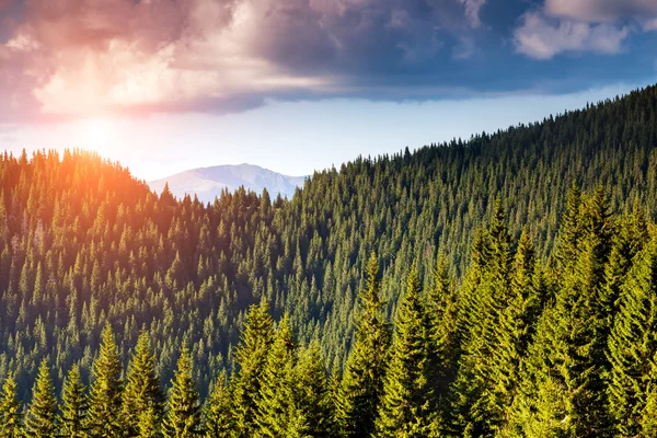 Bellissime montagne Paesaggio — Foto Stock