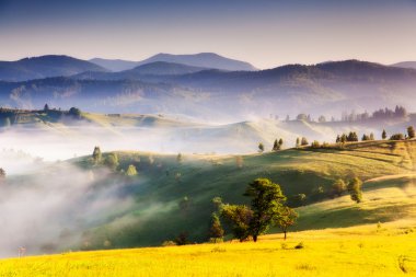Foggy day and hills by sunlight.