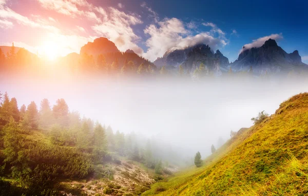 霧の谷の素晴らしいビュー. — ストック写真