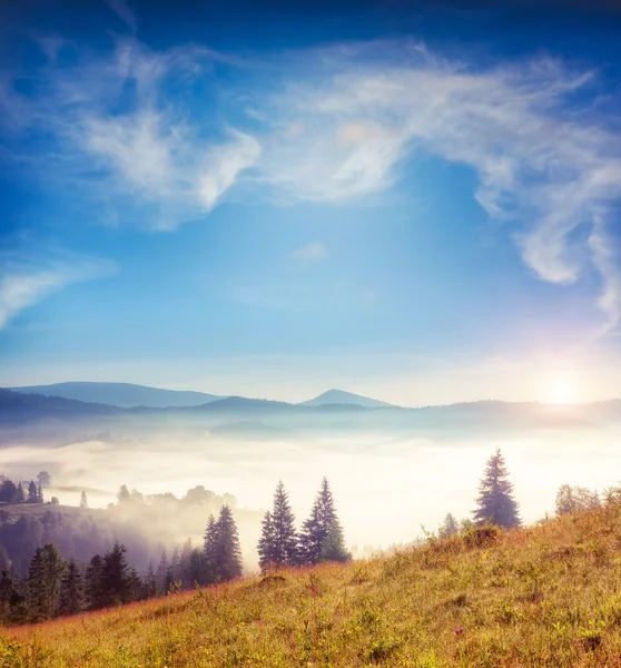 Sunny day in mountain landscape — Stock Photo, Image