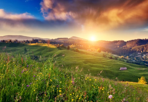 Zielone wzgórza świecące przez ciepłe światło słoneczne — Zdjęcie stockowe