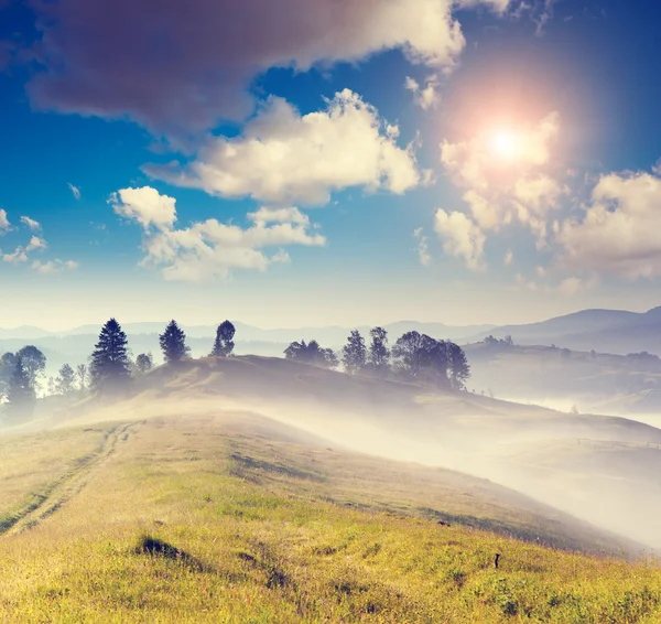 Foggy day and hills by sunlight. —  Fotos de Stock