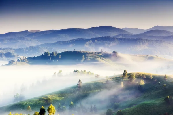 Sommerlandschaft in den Bergen — Stockfoto