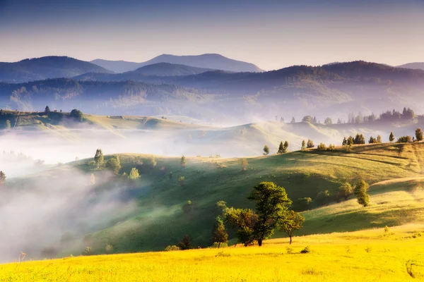 Foggy day and hills by sunlight. — Stock Photo, Image