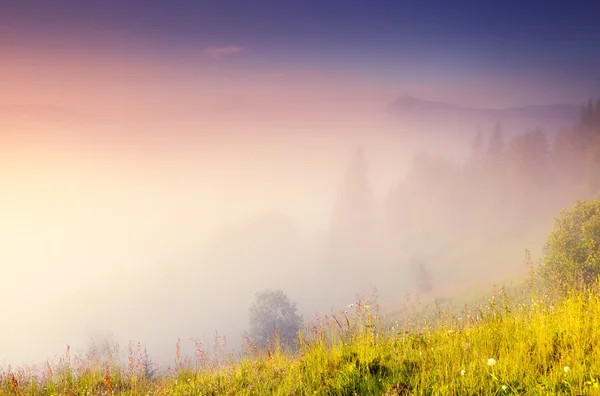 Ködös nap, és fényes hills — Stock Fotó