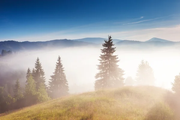 Giornata fantastica e colline dalla luce del sole. — Foto Stock