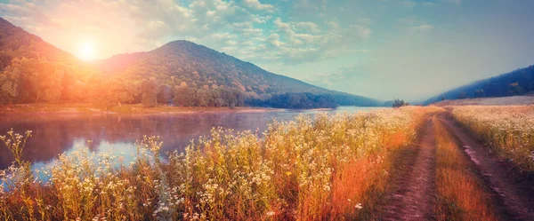 Nebligen Fluss mit frischem Gras — Stockfoto