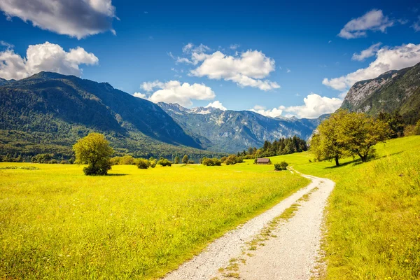 Fantastico panorama sul parco nazionale del Triglav — Foto Stock