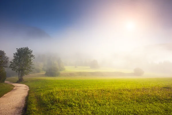 霧の谷の素晴らしいパノラマ — ストック写真