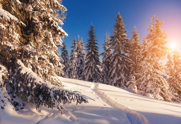 Majestueuze winterlandschap — Stockfoto