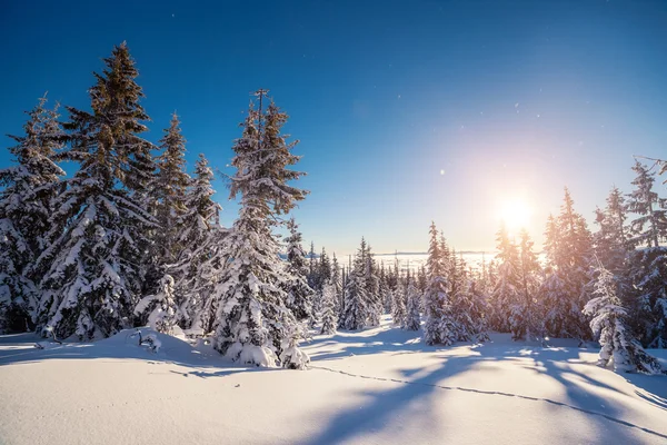 雄大な冬の風景 — ストック写真