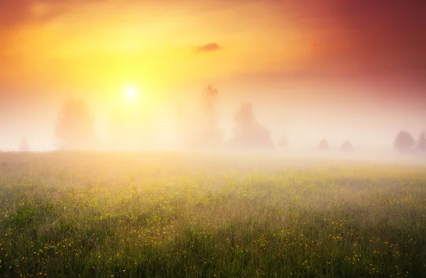 Green hills glowing by warm sunlight — Stock Photo, Image