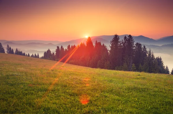 Beautiful green hills — Stock Photo, Image