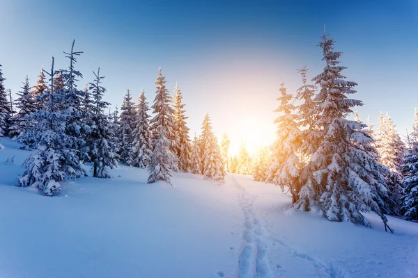 Majestueuze winterlandschap — Stockfoto