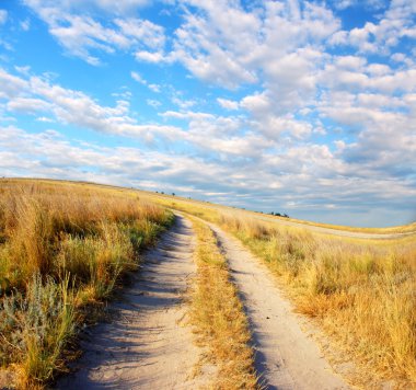 Yaz çayır ve mavi gökyüzü