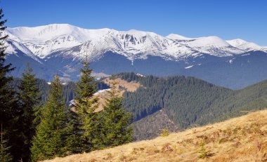 dağ manzarası ve mavi gökyüzü