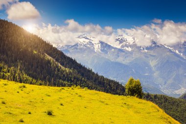 Alpine meadows muhteşem manzarası