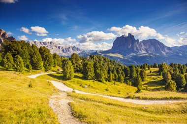 Sassolungo (Langkofel) grubunu görüntüleme