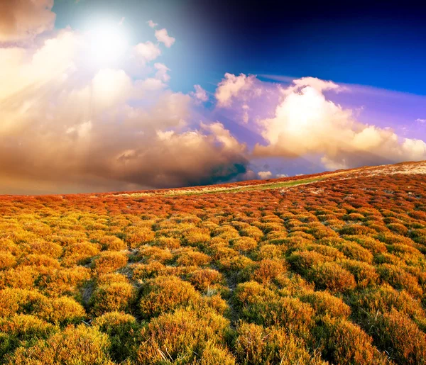 Beautiful landscape with mountains — Stock Photo, Image