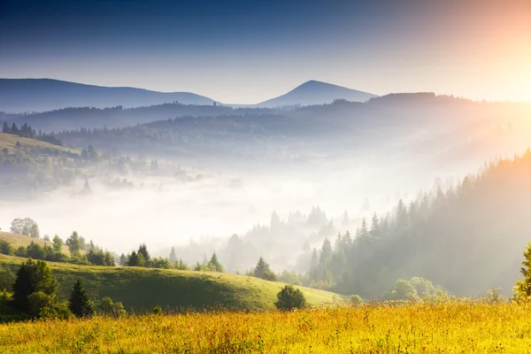 Giorno nebbioso e luminose colline — Foto Stock