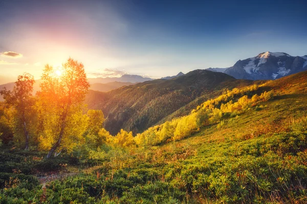 高山の谷の素晴らしい景色 — ストック写真