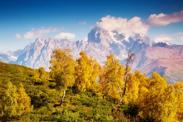 Vue fantastique sur la vallée alpine — Photo