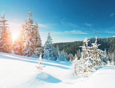 görkemli kış manzarası