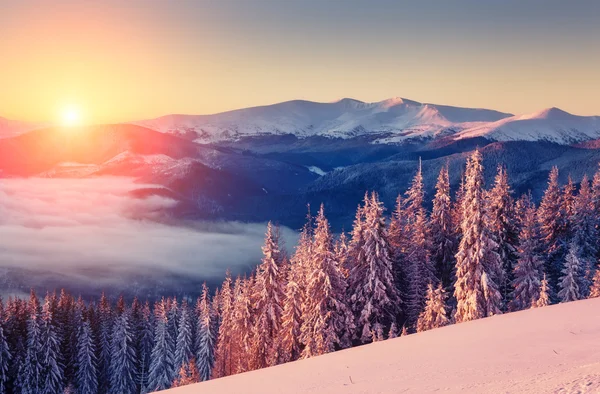 Majestätische Landschaft glühend durch Sonnenlicht — Stockfoto