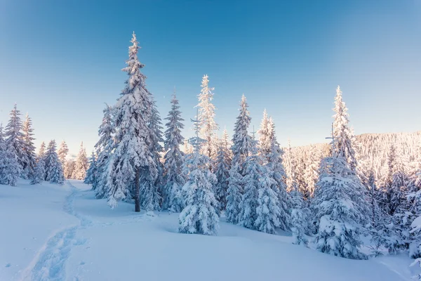 Majestoso inverno paisagem — Fotografia de Stock