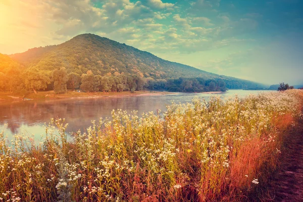 Rivière brumeuse avec de l'herbe fraîche — Photo