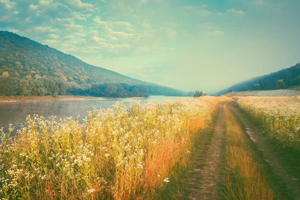 Mistige rivier met verse gras — Stockfoto