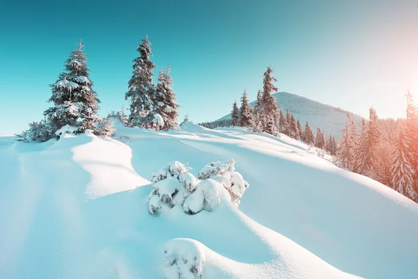 Maestoso paesaggio invernale — Foto Stock