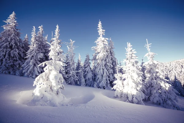 Majestoso inverno paisagem — Fotografia de Stock
