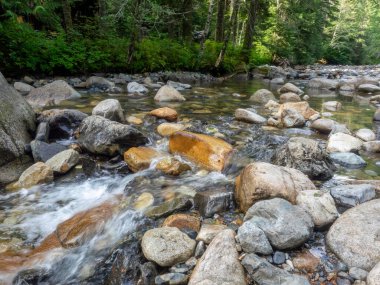 Franklin Şelalesi, Snoqualmie Nehri 'nin güney çatalında, South Fork Snoqualmie Nehri üzerindeki üç büyük şelaleden ilki olan bir şelaledir. Şelale, Amerika Birleşik Devletleri 'nin başkenti Washington' daki King County 'de Snoqualmie Geçidi yakınlarında yer almaktadır.