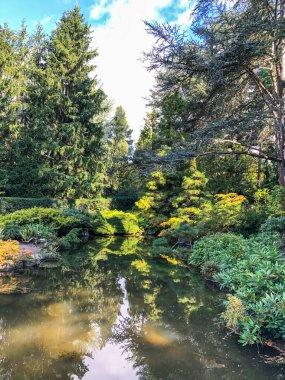 Kubota Garden, Washington, Seattle 'da bulunan Rainier Beach' te 81.000 metrekarelik bir Japon bahçesidir. Kubota Bahçesi 'nin başlıca özellikleri Kubota Terası, Bambu Korusu, Göletlerin Kolyesi, Dağ Yamacıdır., 