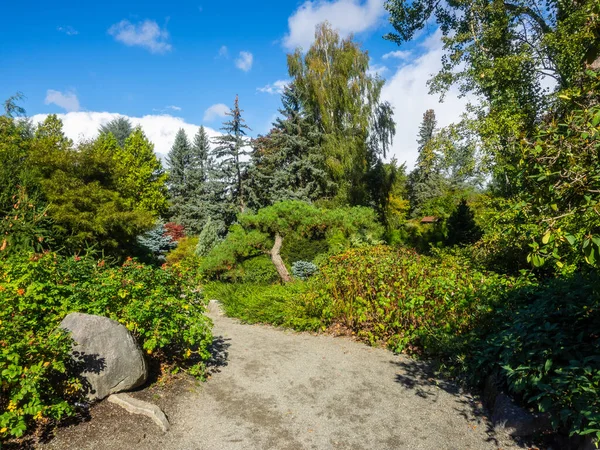 Kubota Garden Hektar Stor 81000 Japansk Trädgård Rainier Beach Seattle — Stockfoto