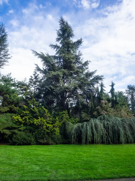 库博塔花园 Kubota Garden 是一个占地20英亩 000米 的日本花园 位于华盛顿州西雅图的Rainier海滩社区 库博塔花园的主要特色包括库博塔露台 池塘项链 — 图库照片