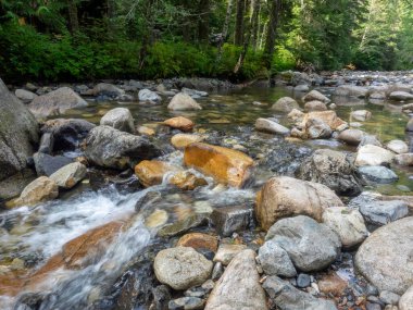 Franklin Şelalesi, Snoqualmie Nehri 'nin güney çatalında, South Fork Snoqualmie Nehri üzerindeki üç büyük şelaleden ilki olan bir şelaledir. Şelale, Amerika Birleşik Devletleri 'nin başkenti Washington' daki King County 'de Snoqualmie Geçidi yakınlarında yer almaktadır.