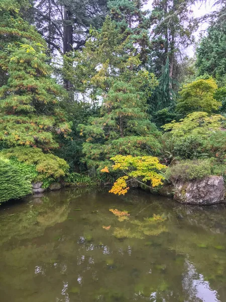 Kubota Garden Akr 000 Japonská Zahrada Rainier Beach Sousedství Seattlu — Stock fotografie