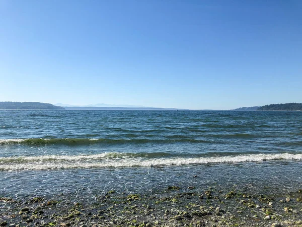 Saltwater State Park Appezzamento Legname Seconda Crescita Sulla Puget Sound — Foto Stock