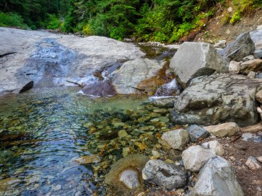 Denny Creek Patikası son derece popüler ve iyi bir nedeni var! Doğal bir su kaydırağı, iki büyük şelale, bir sürü eski orman ve harika manzaralı açık alanlar, ve güzel Alp Gölleri..