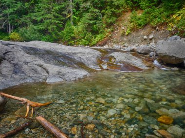 Denny Creek Patikası son derece popüler ve iyi bir nedeni var! Doğal bir su kaydırağı, iki büyük şelale, bir sürü eski orman ve harika manzaralı açık alanlar, ve güzel Alp Gölleri..