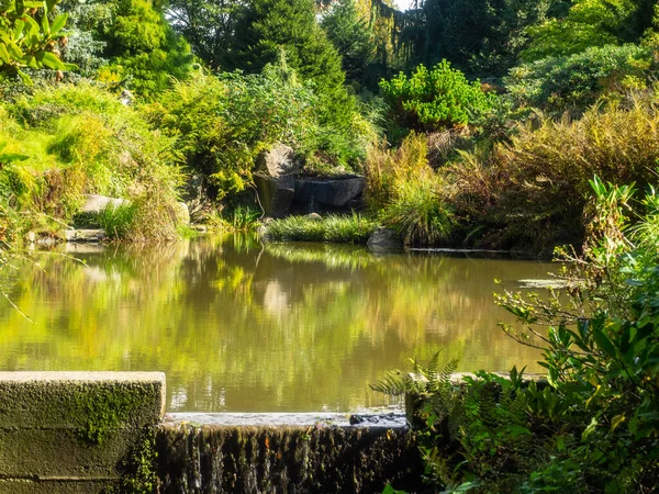 Kubota Garden Est Jardin Japonais 000 Acres Situé Dans Quartier — Photo