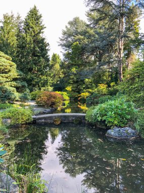 Kubota Garden, Washington, Seattle 'da bulunan Rainier Beach' te 81.000 metrekarelik bir Japon bahçesidir. Kubota Bahçesi 'nin başlıca özellikleri Kubota Terası, Bambu Korusu, Göletlerin Kolyesi, Dağ Yamacıdır., 