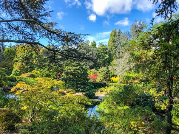 Kubota Garden Ist Ein 000 Hoher Japanischer Garten Stadtteil Rainier — Stockfoto