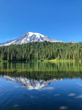 Dağ 'ın en ikonik manzaralarından biri. Parkta Rainier 'i yansıma göllerinde bulabilirsiniz..