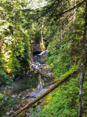 Franklin Şelalesi, Snoqualmie Nehri 'nin güney çatalında, South Fork Snoqualmie Nehri üzerindeki üç büyük şelaleden ilki olan bir şelaledir. Şelale, Amerika Birleşik Devletleri 'nin başkenti Washington' daki King County 'de Snoqualmie Geçidi yakınlarında yer almaktadır.